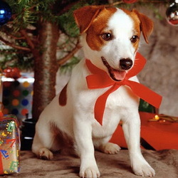 Пазл: Новогодний