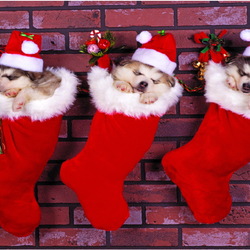 Пазл: Новогодние подарки