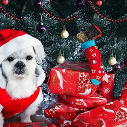 Пазл: Новогодний