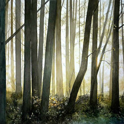 Пазл: Солнце за деревьями