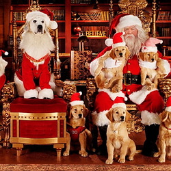 Пазл: Новогодний