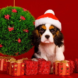 Пазл: Новогодние подарки