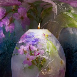 Пазл: Цветы и лед