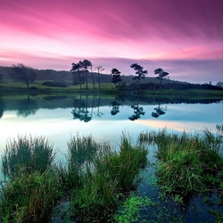 Пазл: Розовые облака