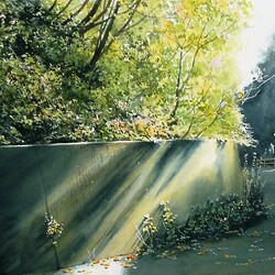 Пазл: Сила природы