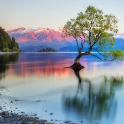 Пазл: Озеро Ванака