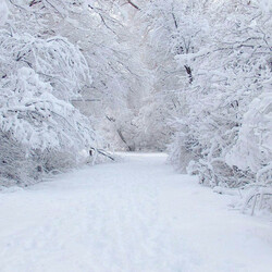 Пазл: Белым бело