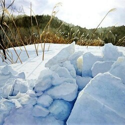 Пазл: Сугроб