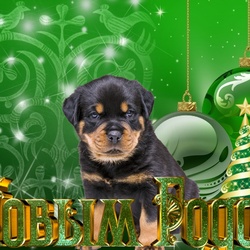 Пазл: Новый год 