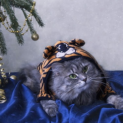 Пазл: Главное - чтобы костюмчик сидел!