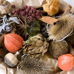 Пазл: Сухоцвет