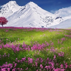 Пазл: Лето и зима