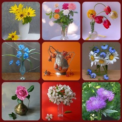 Пазл: Цветы на радость нам даны