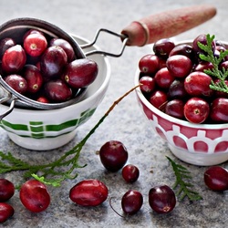 Пазл: Клюква