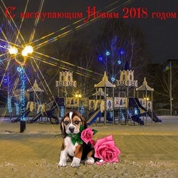 Пазл:  Из города Тамбова