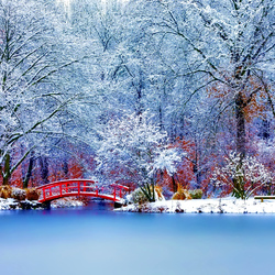 Пазл: Запахи зимы