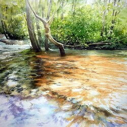 Пазл: Бурный поток