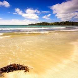 Пазл: Берег моря