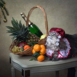 Пазл: Новогодний котонатюрморт