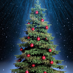 Пазл: Ёлочка