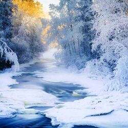 Пазл: Зимний лес