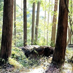 Пазл: Два дерева