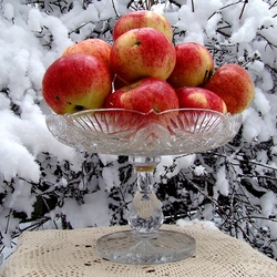 Пазл: Зимой