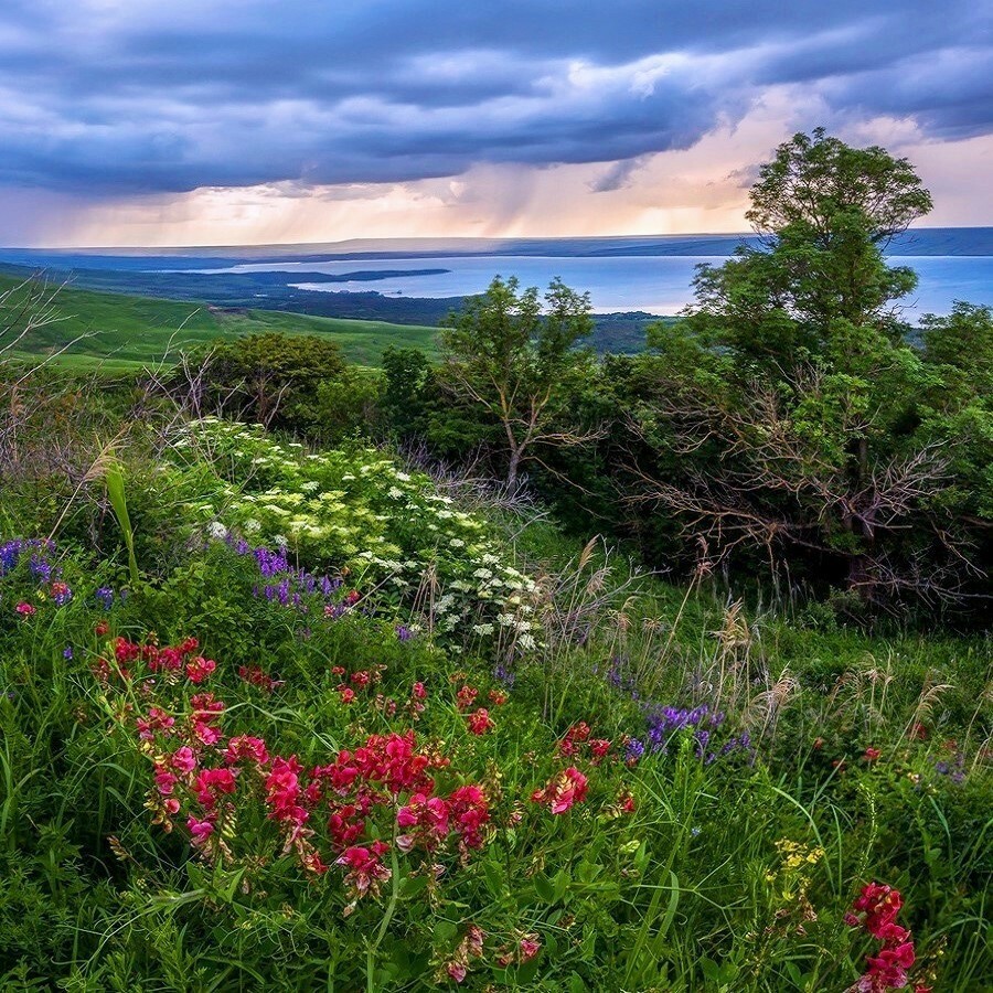 Весна на ставрополье фото