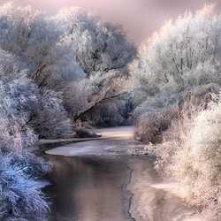 Пазл: Все покрыто инеем