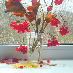 Пазл: Хмурое утро