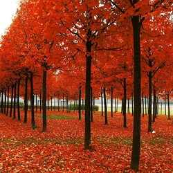 Пазл: Осень