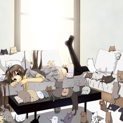 Пазл: Кошатница