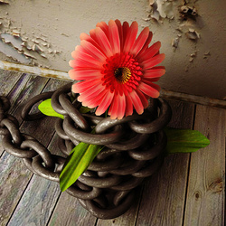 Пазл: В плену