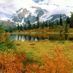 Пазл: Очарование осени