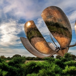 Пазл: Радар - цветок