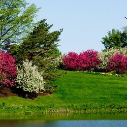 Пазл: Весна