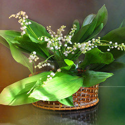 Пазл: Ландыши