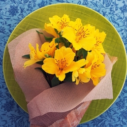 Пазл: Блюдо дня