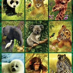 Пазл: Детки