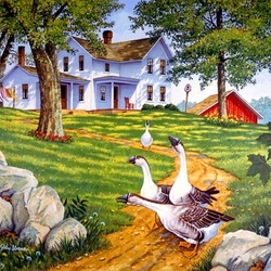 Пазл: Важные птицы