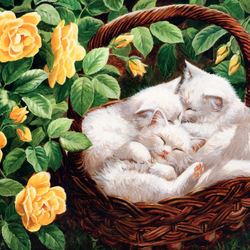 Пазл: Сладкий сон