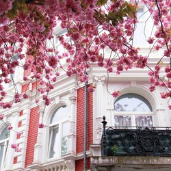 Пазл: Балкон