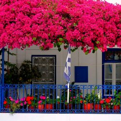 Пазл: Терраса в цветах