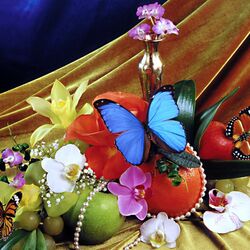 Пазл: Бабочки