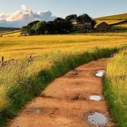 Пазл: После дождя