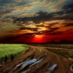 Пазл: В закат