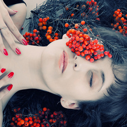 Пазл: Грозди рябины