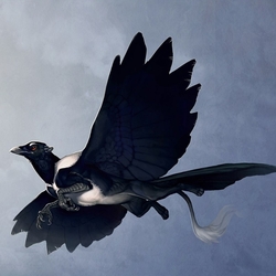 Пазл: Грифон