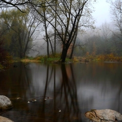 Пазл: Лесное озеро