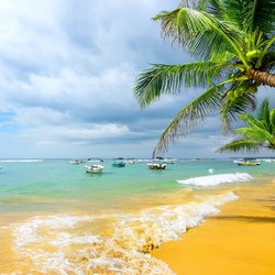 Пазл: Тропический рай